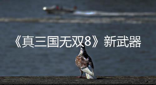 演示新武真转锤无双三国视频器昊