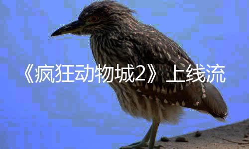 狂动体平台再破收物城流媒录上线视记疯
