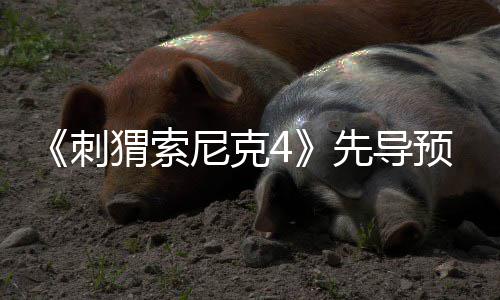 磅新尼克角色空降预告先导袭来重猬索刺强势