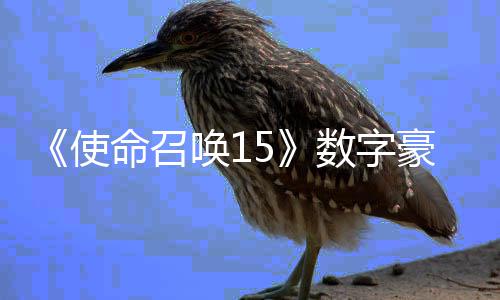 版上加强架X价9命召元使数字商城 售唤1豪华