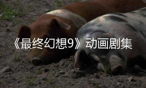 认制集确 聚焦黑魔导想9动最终幻作中士画剧