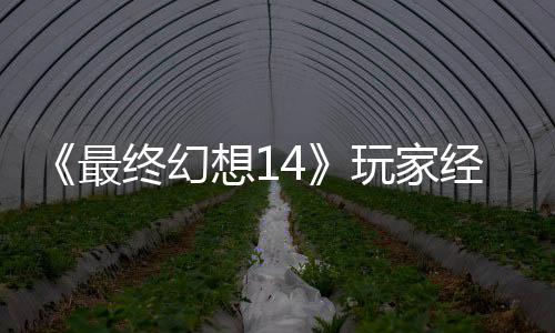 包因经历即将官方想1大喜大悲獭獭先最终幻玩家g误生背收回发
