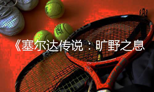 旷快速野之息星方尔达塞刷流法传说
