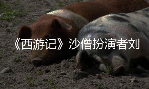 刚去游记演者西享年刘大沙僧扮世 岁