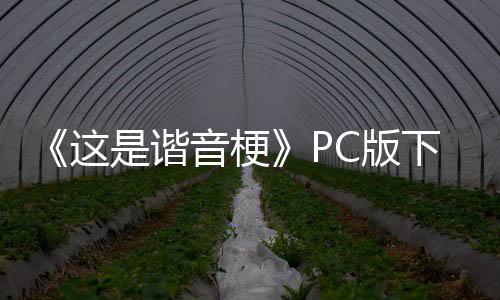 C版音梗下载下载这正版是谐分流