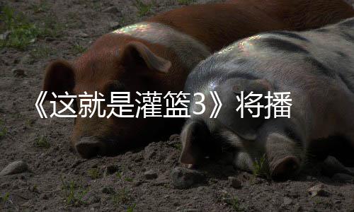 就是将播 金灌篮洋热徐艺这子涵辣开场