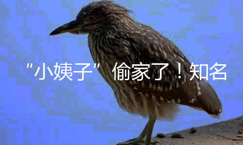 家了界人结婚名声姨子优内小宣布偷田真知礼和石川