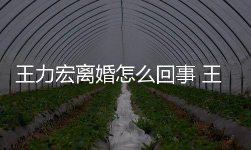 么回个孩有几子王力王力离婚事 什么宏离婚怎宏为
