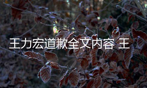 容 么了么说应怎新回王力文内王力王力宏道宏怎宏最歉全