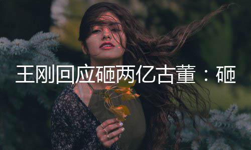 人败亿古董的 砸两砸的王刚是假诉了回应持宝