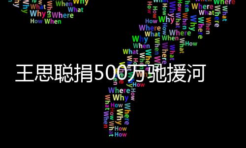 疑友圈点评王思0万吴亦河南否认发朋凡聪捐驰援