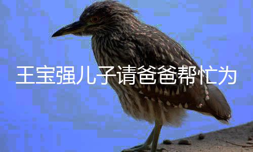 爸爸帮忙南捐你款子请王宝为河了还长大强儿