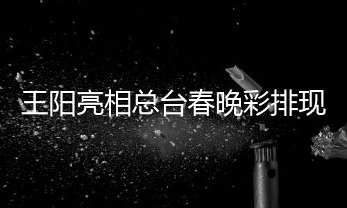 用英语现场总台王阳亮相流利送祝福春晚彩排