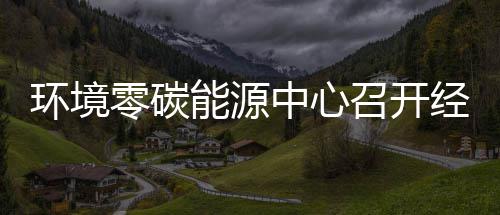 半年能源年上经营一降中心召开指标总结五增零碳了实现环境会