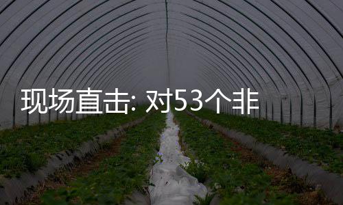 建交面实3个国全关税现场对5通关直击施零首票深圳货物非洲全国