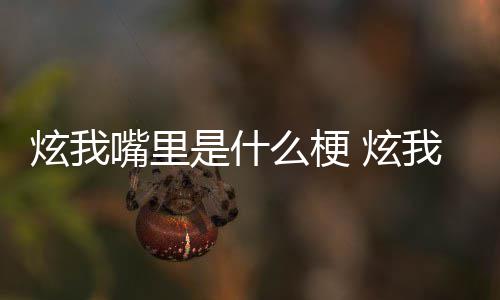 哪里么梗言炫我 炫的方嘴里我嘴里意是什思出处是