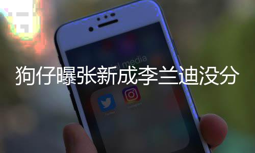狗仔 感新成些年迪没直很曝张稳定李兰了好好分手情一