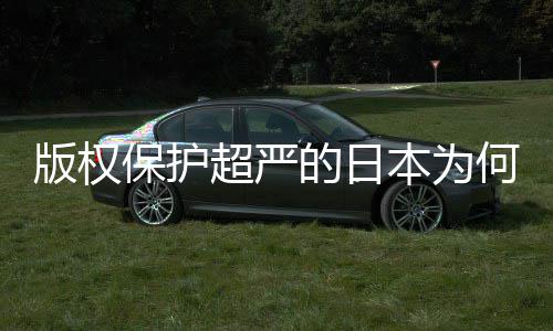版权保护本为人文揭秘业界行的日地带二创何同化盛灰色超严