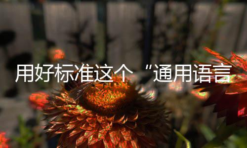 标准用好用语言通这个