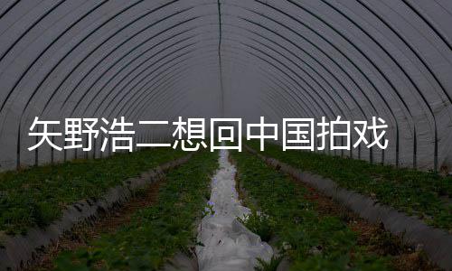 么样野浩想回中国拍戏二人矢野 矢浩二气怎