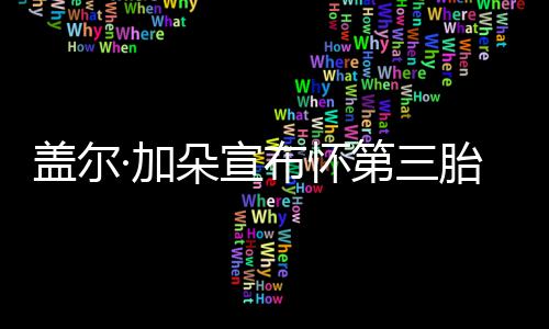 布怀女儿·加盖尔孕肚馨朵宣第三胎 老公抚摸超温