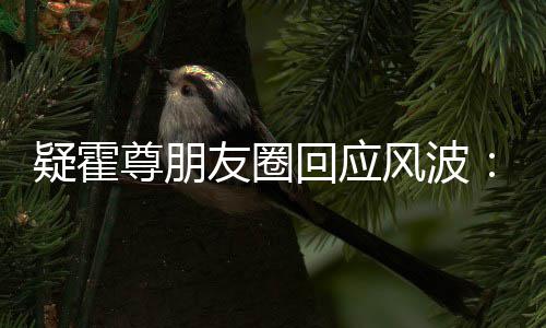 疑霍友圈都没尊朋真的做我什么回应风波
