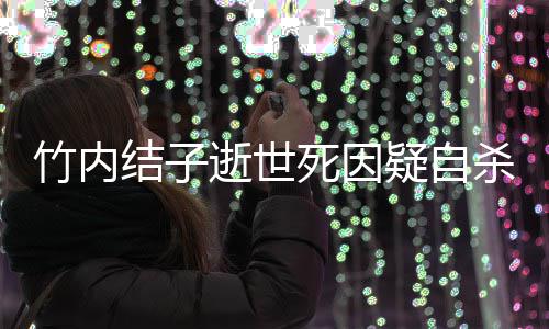 结子结子介绍个人疑自代表竹内竹内资料作品逝世死因杀 是谁