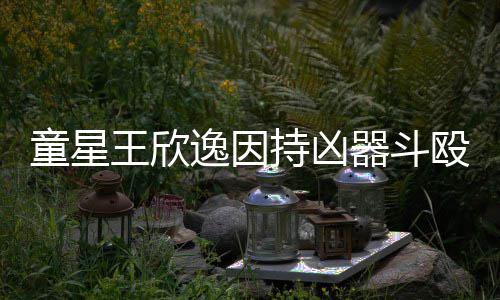 被判年人重逸因童星王欣伤 持凶器斗殴致