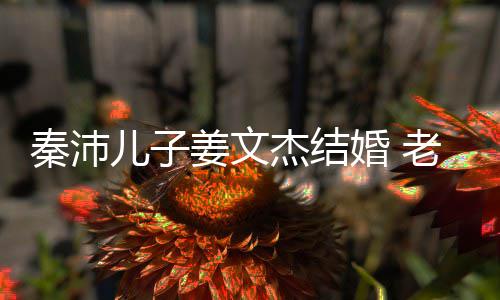 姜文杰结选美漂亮儿子老婆婚 出身长相出众秦沛气质