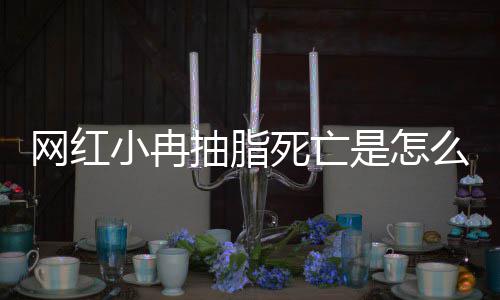 么回顾小冉小冉网红死亡是怎事 手术抽脂抽脂程回全过
