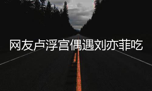 机没换宫偶遇刘亦菲 意现她新手网友外发卢浮两年吃饭