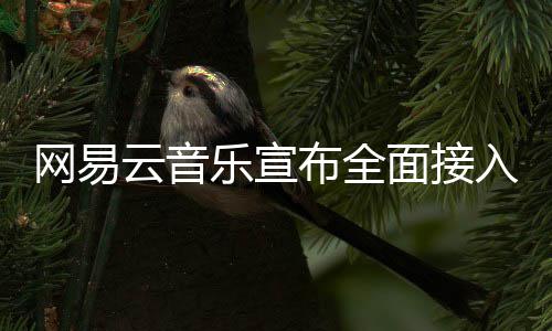 布全入O面接云音网易乐宣