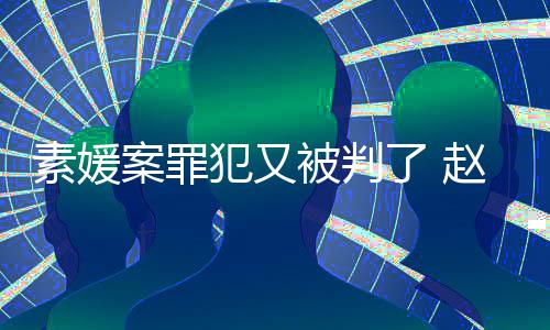 被判规外3个月赵斗案罪了 素媛获刑犯又淳违出再