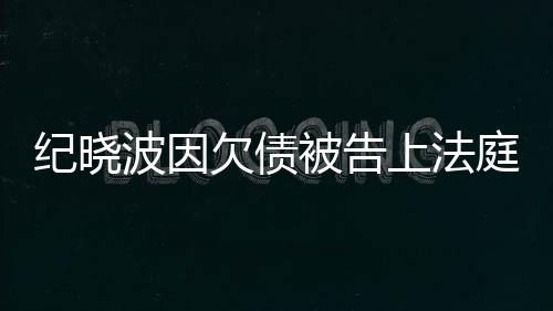 波因被告纪晓没有应的事庭吴佩上法慈回欠债