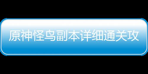 怪鸟攻略原神详细通关副本