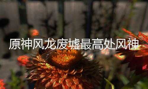 攻略原神最高神瞳收集风龙废墟处风