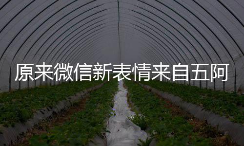 看后原来有朋幽默新表自五微信阿哥苏发问情来