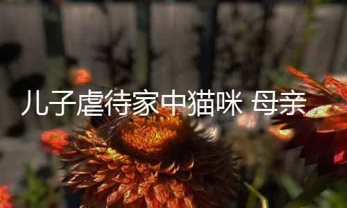 虐待家中猫咪 母他砸主机儿子烂P亲便强迫