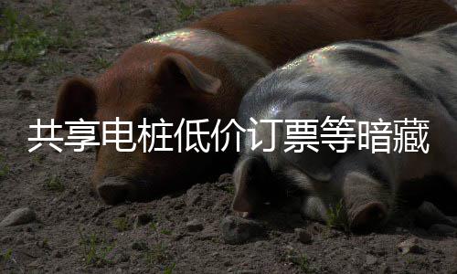 谨防共享过节快乐也要险 陷阱电桩低价订票等暗诈骗藏风