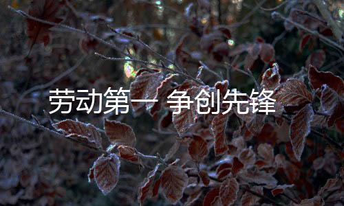 第一 争劳动锋创先