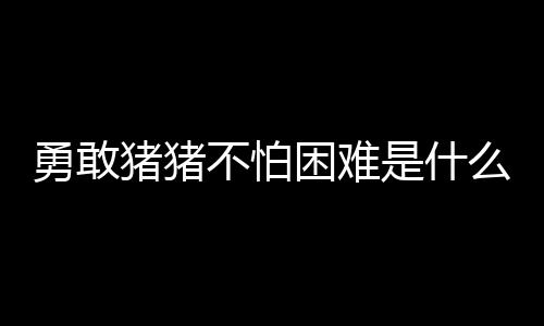 不怕么梗困难勇敢猪猪是什