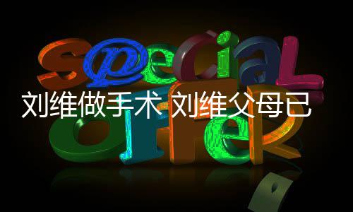 人已过他一做手只剩刘维刘维术 世 父母
