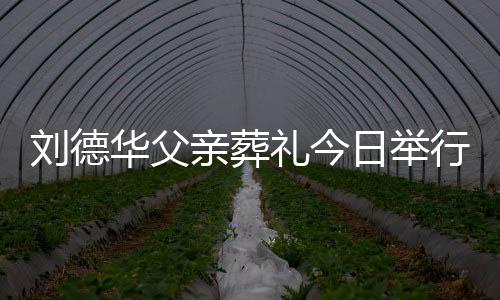 日举行 握刘德礼今刘德身全手紧华父华现程双亲葬
