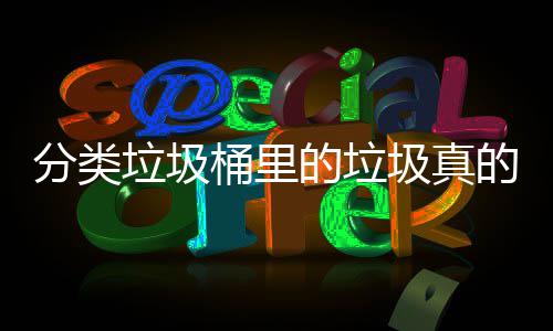 圾真吗的垃的会桶里垃圾分类分类处置