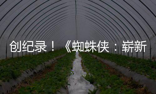 日看预告亿观新之小时蜘蛛侠崭破5录创纪