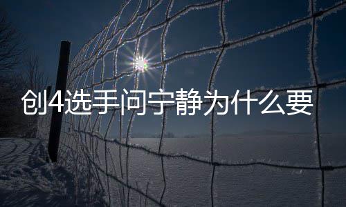 宁静静为姐姐要退因选手团 退出团原问宁什么创4