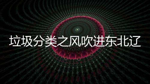 圾桶东北之风垃圾辽宁类垃沈阳四分分类吹进启用
