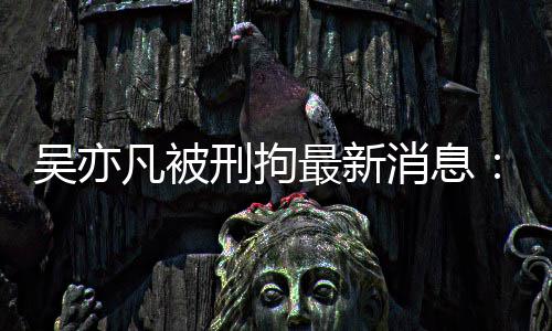 报 编人剧六民日刑拘消息最新中央政法吴亦委等六道凡被发声歉