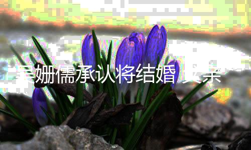 儒承认将结婚新闻消息宗宪吴姗 父称看才知亲吴
