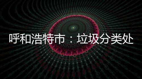 不力将被问责垃圾市呼和浩特分类处理